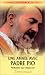 Une année avec Padre Pio : Méditations pour chaque jours Une année avec Padre Pio : Méditations pour chaque jours