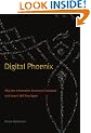 Digital Phoenix: Why the Information Economy Collapsed and How it Will Rise Again