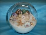 Review Dune Design Studios, Inc.  / Sand & Shell Sandglobe Paperweight 5-inch White Sand