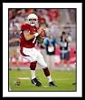 Matt Leinart Arizona Cardinals NFL Framed 8x10 Photograph Passing