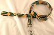 Green Bay Packers 6' Long NFL Dog Leash