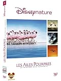 Les Ailes pourpres : le myst&egrave;re des flamants