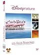 Les Ailes pourpres : le myst�re des flamants