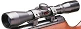 Gamo 4x32 Scope, 1 Tube, 11mm Dovetail Rings