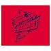 Biederlack Iowa State Cyclones 60x50 Fleece Throw