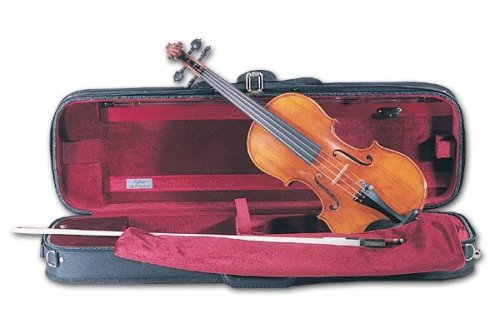 Yuan Qin Viola, 16''