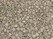 Panama Boquette Green Coffee Beans - 5lbs