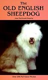 Old English Sheepdog