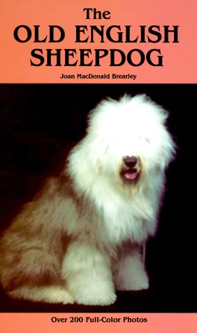 Old English Sheepdog