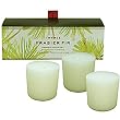 Thymes Frasier Fir Candle Votive Set of 3