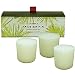 Thymes Frasier Fir Candle Votive Set of 3