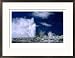 Prince of Wales Feather Geyser at Whakarewarewa Thermal Reserve, Rotorua, New Zealand Collections Framed Photographic Poster Print by Dennis Johnson, 29x21
