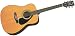 Yamaha F-310 Steel String Acoustic Folk Guitar, Semi Jumbo