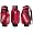 South Carolina Fighting Gamecocks