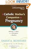 A Catholic Mother's Companion to Pregnancy: Walking with Mary from Conception to Baptism (Catholicmom.Com Books)