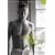 The Perfect Boy: #50 (Postcard Books (Bruno))