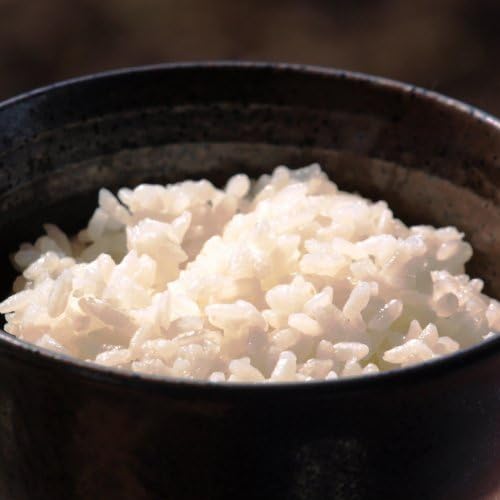 Pesticide nonuse rice 1kg + eggs over a period of only additive-free soy sauce "Tamasen" 120ml + Shimanto-free-range-fertilized eggs commitment egg "does not Do Ikeda" ten [Niwatorinoniwa]