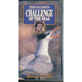 Buy CHALLENGE OF THE SEAS: BIRDS OF CORTEZ by Ted Danson now!