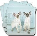 CUTE SIAMESE CAT GIFTS Set of 4 Leather Coasters