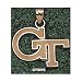 Georgia Tech