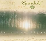 Into the Light [German Import]