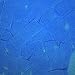 UV Glow Biodegradable Tissue Confetti, Blue Color – Ultimate Confetti Fluttering Tissue Paper for Confetti Cannon and Launcher Use, Table Decorations, and More (20 Handfuls per Bag, 1 lb)