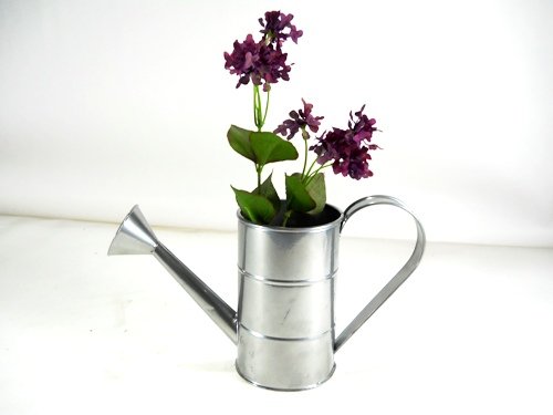 1 Qt Tin Watering Can for Gardening or Floral Arrangements