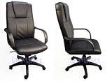 Royale Leather Executive Office Chair / High Back w/ Gas Lift & Tilt and Ergonomic Lumbar Support