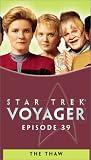 Star Trek - Voyager, Episode 39: The Thaw [VHS]