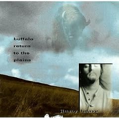 Buffalo Return to the Plains