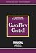 Book Cash Flow Control (Risk Management Series: Cash Flow Management)
