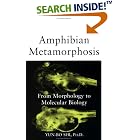 Amphibian Metamorphosis: From Morphology to Molecular Biology by Yun-Bo Shi