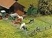 Spielwaren : Faller 180434 - Boxen- und Laufhof-Zaunsysteme