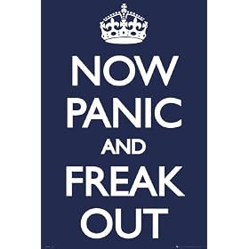 Now Panic and Freak Out Keep Calm and Carry On Spoof Art Print Poster - 24x36