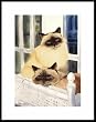 Sleepy Heads by Drew Strouble