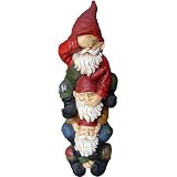 Terrapin Trading C5 TDE 48330 Garden Gnomes Wise G