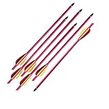 6 14  150 180 Lb Crossbow Hunting Arrows Bolts