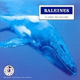Baleines : Le chant des baleines