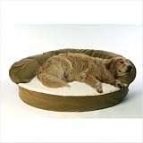 CPC Ortho 42-Inch Sleeper Bolster Bed, Sage