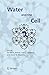 Water and the Cell