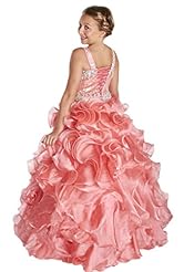 Girls  Sequined Crystals Crystal Lace Organza Floor Length  Ball Gown Flower-Girl Dress/Pageant Dress 