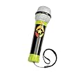 Parents Sing-Along Microphone