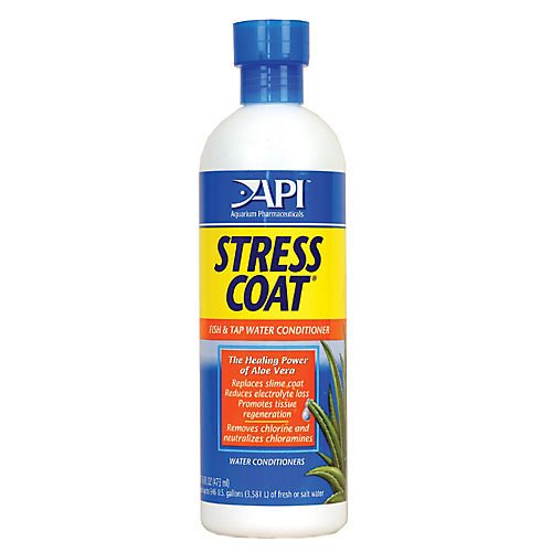 API Stress Coat Water Conditioner 64 oz