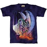 Dragon Lair T-shirt 100% Cotton Short Sleeved YOUTH and TEENS and ADULTS Shirt with Wizard