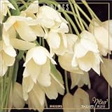 �X�g�����O�X��D��