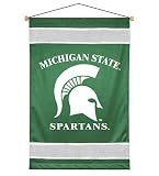 NCAA Michigan State Spartans - Team Logo Wall Hanging/D&eacute;cor College Accent