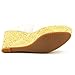 Nine West Women's Cantalope Metallic Wedge Sandal