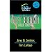 Attack of Apollyon (Left Behind: The Kids, Book 19)