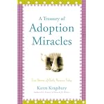 A Treasury of Adoption Miracles: True Stories of God's Presence Today book cover