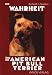 Die Wahrheit über den American Pit Bull Terrier